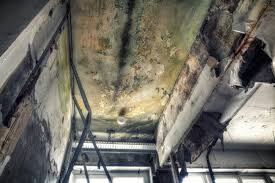 Best Mold Removal for HVAC Installations  in Dock Junction, GA